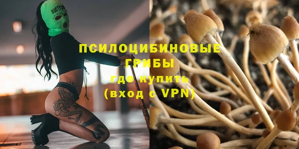 героин Алзамай