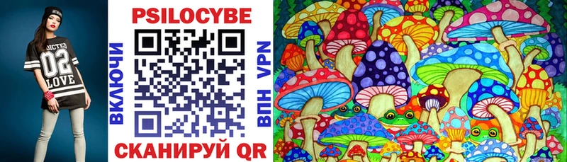 Галлюциногенные грибы Psilocybine cubensis  Дмитров 